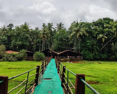 Visit Spice Plantations
