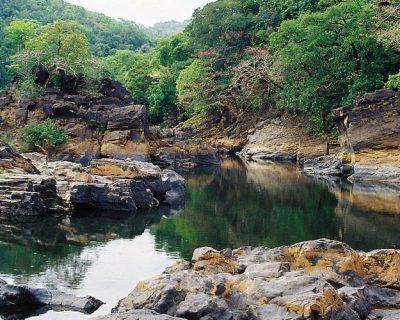 Wildlife Sanctuaries