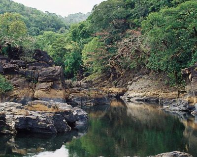 Explore Wildlife Sanctuaries