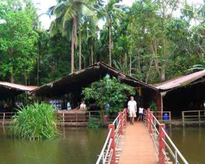 Spice Plantations
