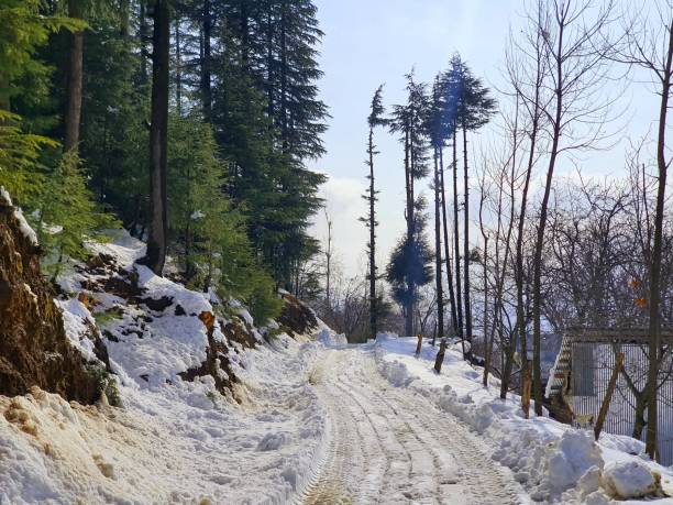 Kashmir